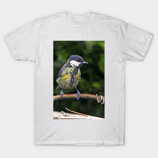 LE PANASONIC FZ 200 PAR OKAIO CRÉATION T-Shirt by caillaudolivier